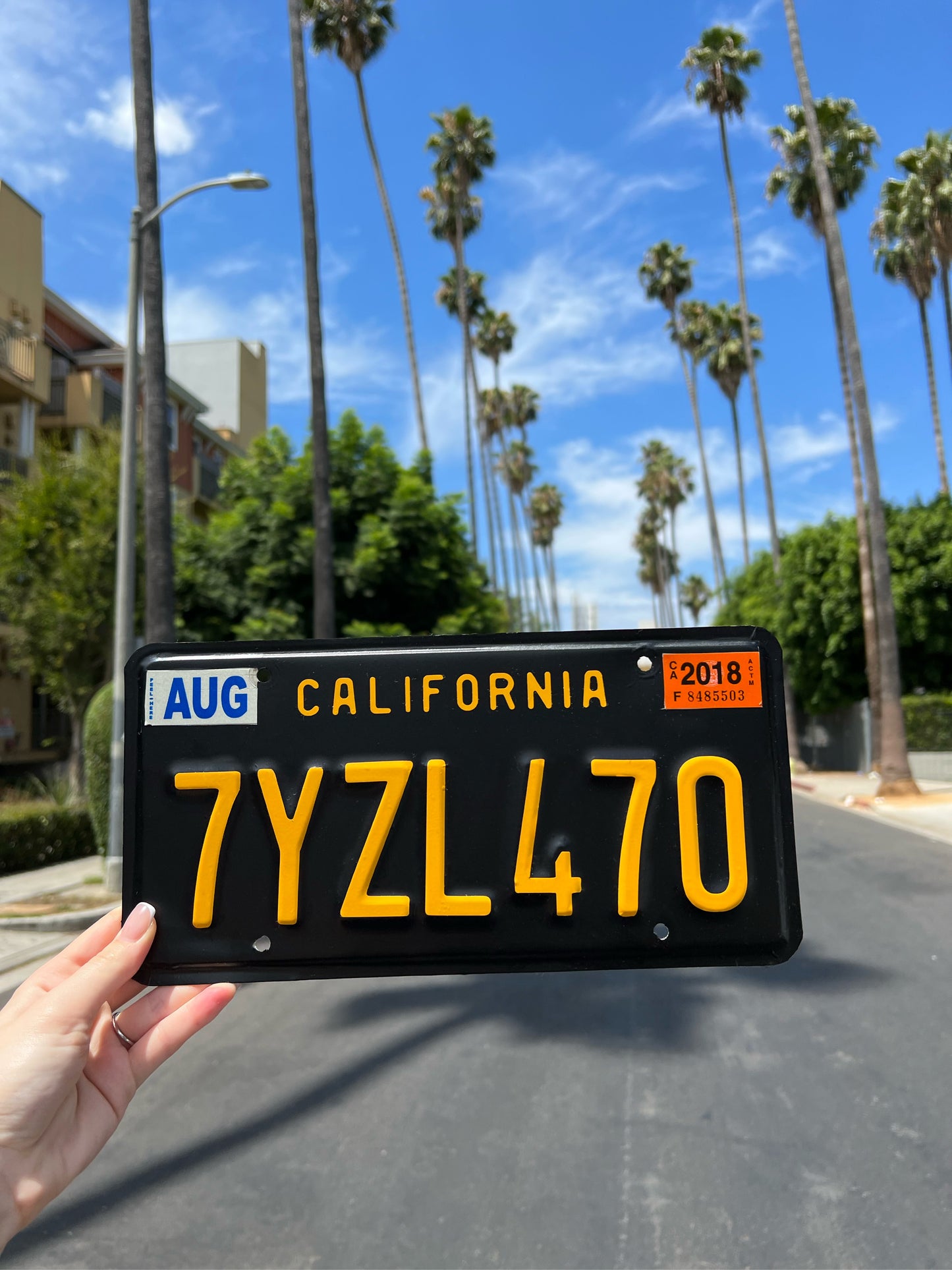 California License Plate Wrap Kit DIY Black And Yellow 1960