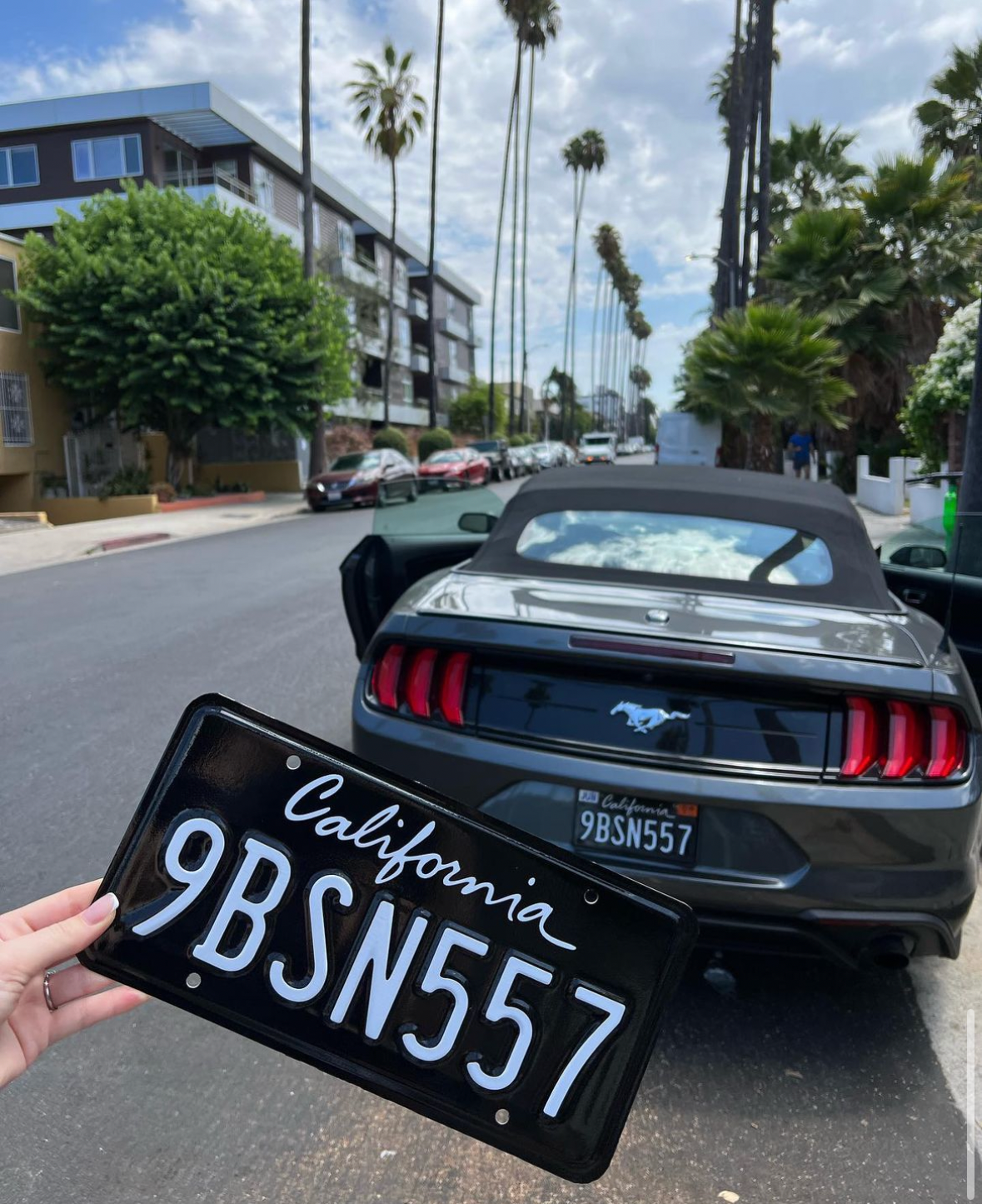 California License Plate Wrap Kit DIY Black And White Cali Plate